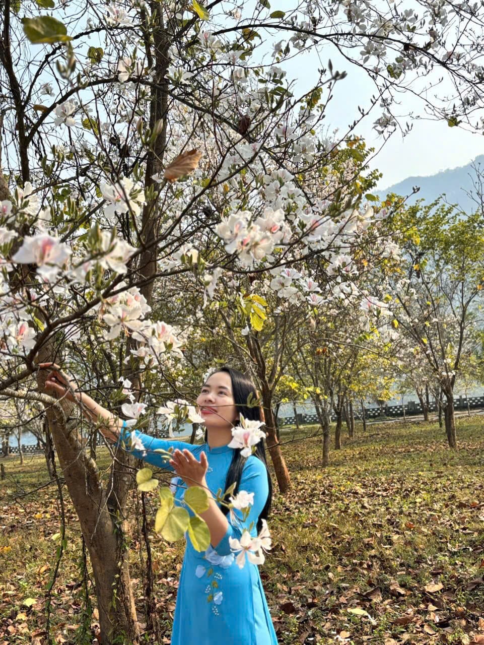 Lớp Văn cô Biên